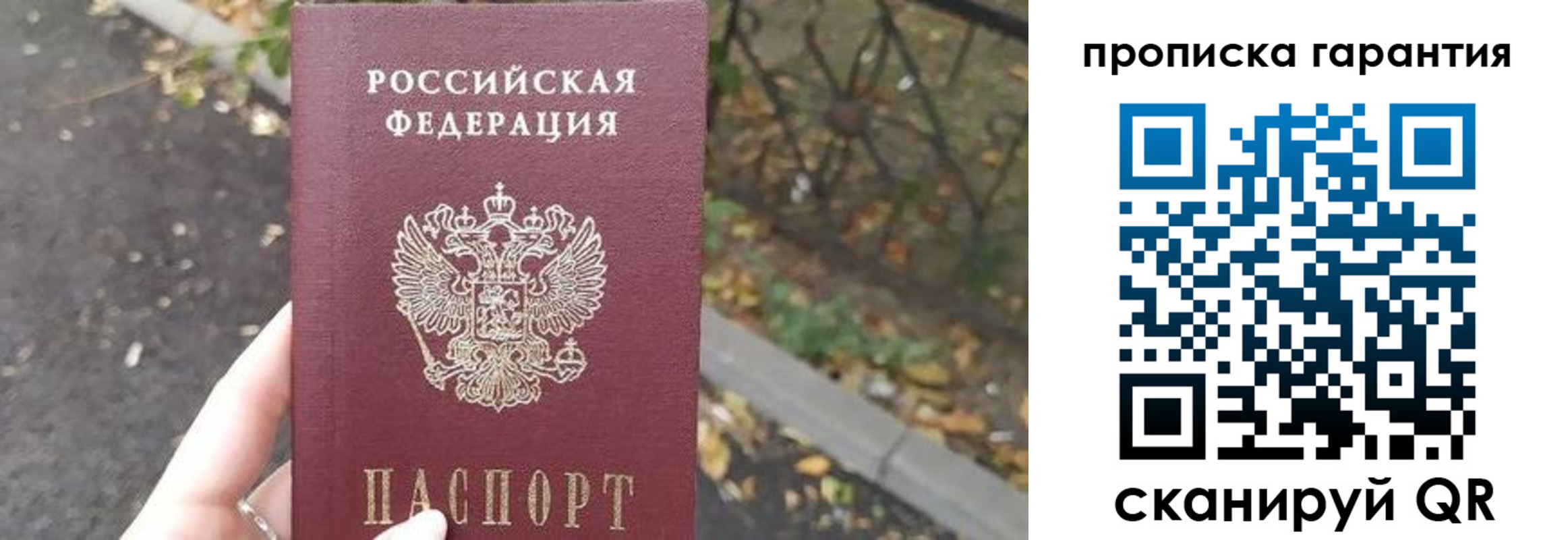 где прописаться в Шуе